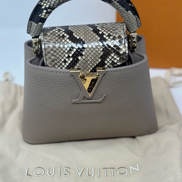 Louis Vuitton Exotic Capucine Mini Phyton Snake Leather New - Picture 10 of 13